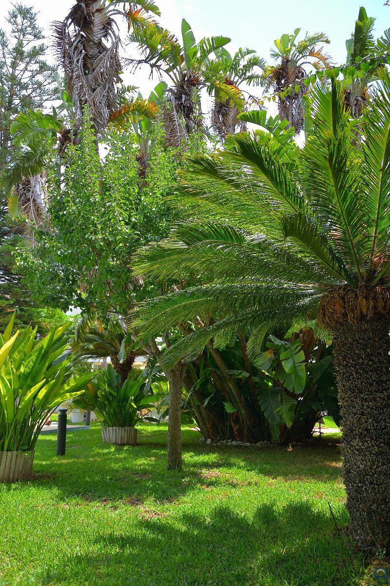 B&B Mondello Resort Extérieur photo