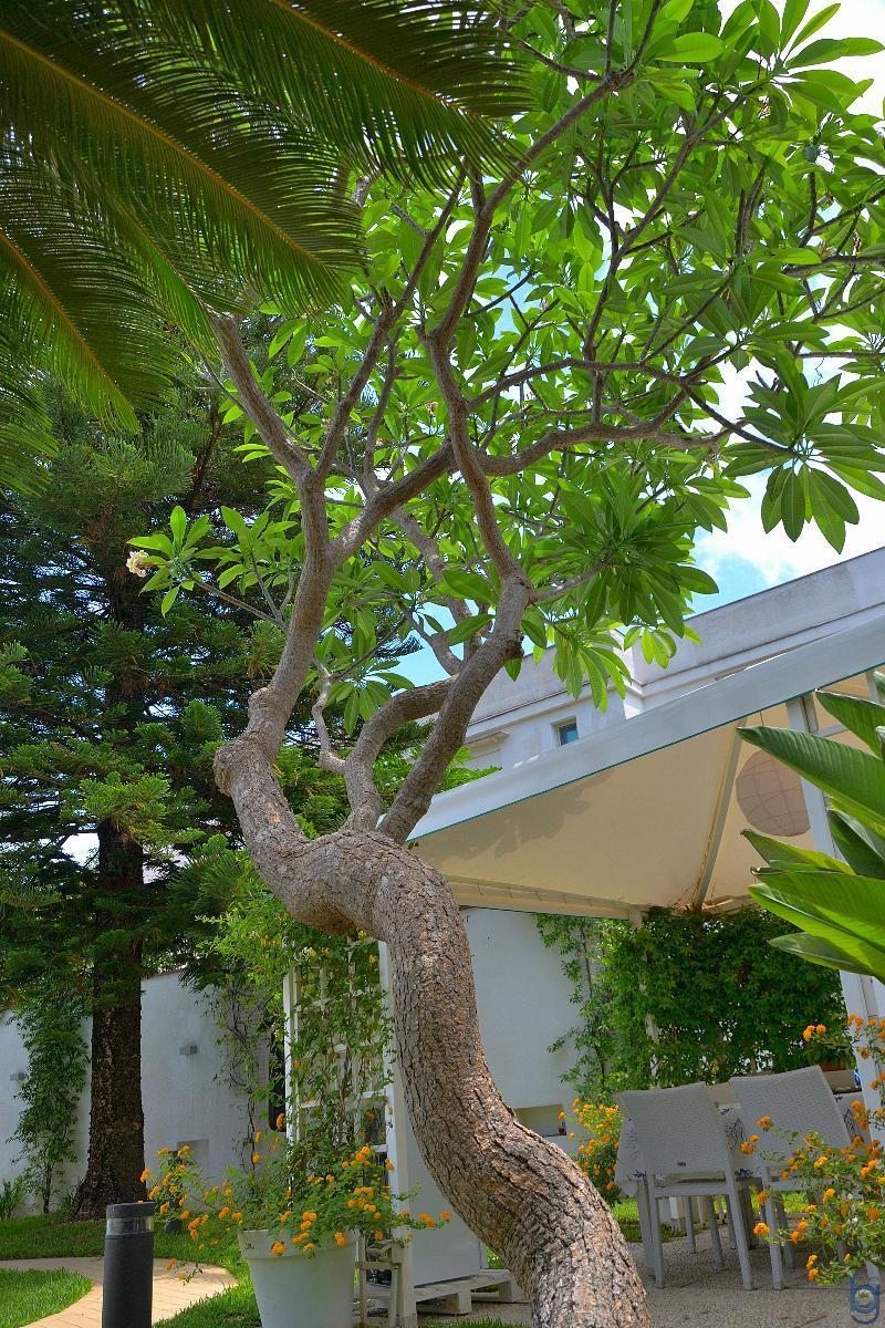 B&B Mondello Resort Extérieur photo